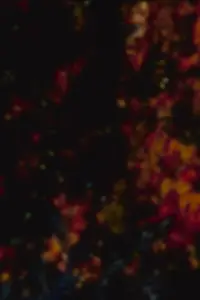 Poster to the movie "The Harrowing" #1037294