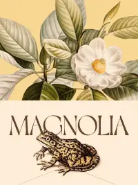 Poster to the movie "Magnolia" #835058