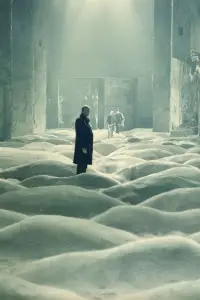 Poster to the movie "Stalker" #734132