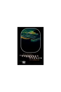 Poster to the movie "Frequent Flyers - Bouldering Around The World" #1209585