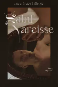 Poster to the movie "Saint-Narcisse" #1113872