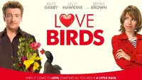 Backdrop to the movie "Love Birds" #987690