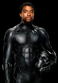 Poster to the movie "Black Panther" #219986
