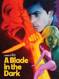 Poster to the movie "A Blade in the Dark" #1124246