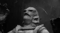 Backdrop to the movie "Creature from the Black Lagoon" #783009