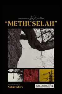 Poster to the movie "Methuselah" #530268