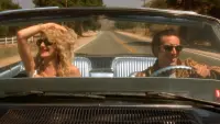 Backdrop to the movie "Wild at Heart" #652274