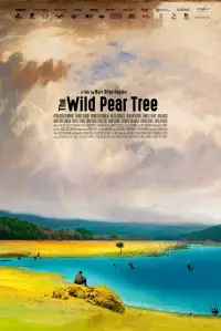 Poster to the movie "The Wild Pear Tree" #1091711
