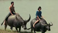 Backdrop to the movie "Kwan Riam" #866105