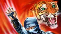 Backdrop to the movie "Secret Ninja, Roaring Tiger" #721437