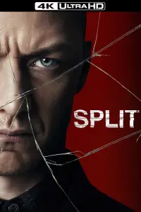 Poster to the movie "Split" #600764