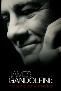Poster to the movie "James Gandolfini: Tribute to a Friend" #1156947