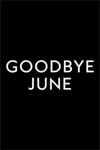 Poster to the movie "Goodbye June" #1055306
