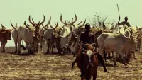 Backdrop to the movie "Touki Bouki" #758666