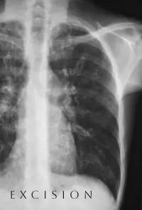 Poster to the movie "Excision" #992011