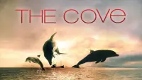 Backdrop to the movie "The Cove" #988484