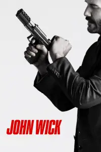 Poster to the movie "John Wick" #526083