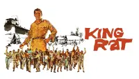 Backdrop to the movie "King Rat" #744383