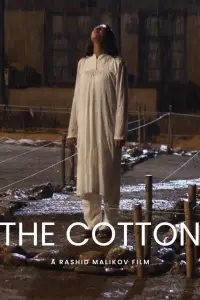 Cotton