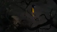 Backdrop to the movie "Coraline" #739308