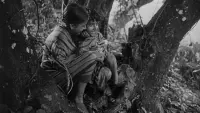 Backdrop to the movie "Pather Panchali" #827477