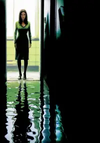 Poster to the movie "Dark Water" #873626