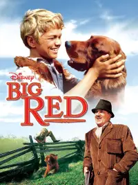 Poster to the movie "Big Red" #743548