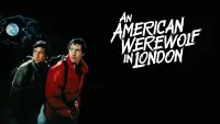 Backdrop to the movie "An American Werewolf in London" #701869