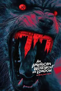 Poster to the movie "An American Werewolf in London" #701922
