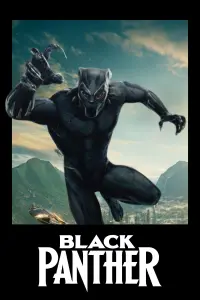 Poster to the movie "Black Panther" #853757