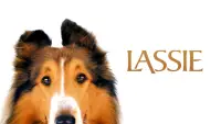 Backdrop to the movie "Lassie" #686453
