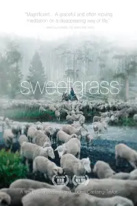 Poster to the movie "Sweetgrass" #1044291