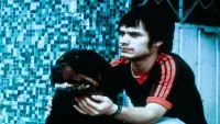 Backdrop to the movie "Amores Perros" #769571