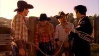 Backdrop to the movie "The Cowboy and the Frenchman" #826700