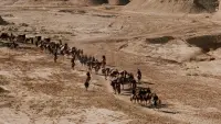 Backdrop to the movie "Crouching Tiger, Hidden Dragon" #679139