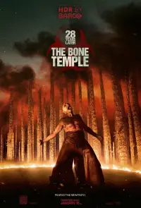Poster to the movie "28 Years Later: The Bone Temple" #509472