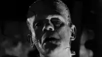 Backdrop to the movie "The Bride of Frankenstein" #809029