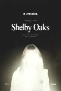 Poster to the movie "Shelby Oaks" #1003989