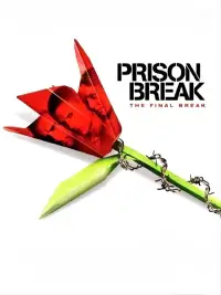 Poster to the movie "Prison Break: The Final Break" #1033976