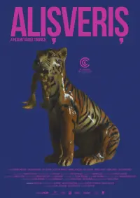 Poster to the movie "Alișveriș" #778087
