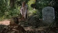 Backdrop to the movie "Zombie Flesh Eaters" #810458