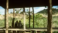 Backdrop to the movie "Tropical Malady" #893597
