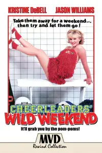 Poster to the movie "The Great American Girl Robbery" #980703