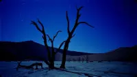 Backdrop to the movie "Samsara" #782418