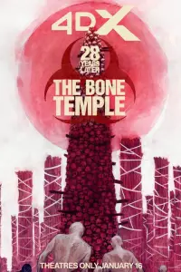 Poster to the movie "28 Years Later: The Bone Temple" #509436