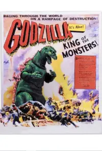 Poster to the movie "Godzilla, King of the Monsters!" #993180