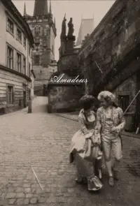 Poster to the movie "Amadeus" #816031