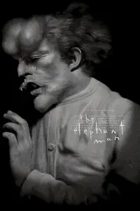 Poster to the movie "The Elephant Man" #939888