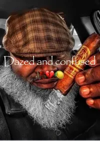 Poster to the movie "Dazed and Confused" #778285