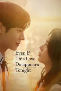 Poster to the movie "Even If This Love Disappears Tonight" #508450